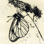 wood engraving, by Paul Pól Ó Colmáin