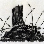 wood engraving