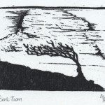 wood engraving, blackthorn bush